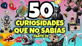 50 COSAS QUE NO SABÍAS HACE 5 MINUTOS 🧠⏰ 29 [upl. by Quartis453]