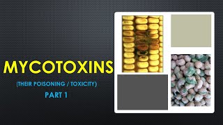 FOOD BORNE ILLNESSES Part 1 MYCOTOXICOSIS mycotoxication [upl. by Eiuqcaj366]