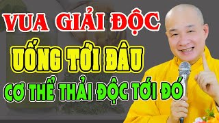 10 CÁCH THANH LỌC thải ra và giảm nạp độc tố vào cơ thể biết mà làm sớm Trường thọ  Thích Trí Huệ [upl. by Bolt573]