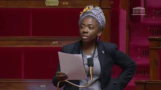 PLF 2018  lensemble des amendements défendus par Danièle Obono 151217 [upl. by Todhunter]