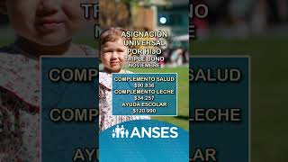 Tamara Bezares habló de un triple bono de Anses para AUH anses [upl. by Hanus]