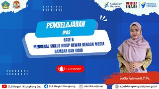 Mengenal Siklus Hidup Hewan untuk Siswa SDLB C [upl. by Seadon984]