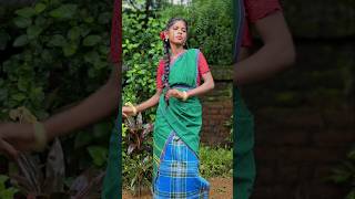 New Santali 3D song video 2024 [upl. by Ahtrim433]