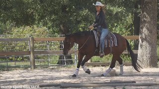 quotHeez Easy Tonitequot Ranch Riding in the Arena  SOLD [upl. by Aeki]