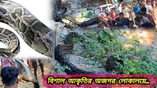 বিশাল আকৃতির অজগরের দেখ মিললো শাহপরান মাজার এলাকায়  সাপ  অজগর  Ojogor [upl. by Elizabeth]