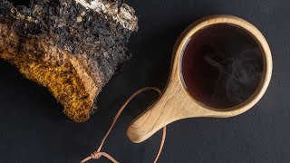 How to Make Chaga Tea A Skeptics View [upl. by Eelesor]