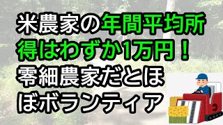 米農家の年間平均所得はわずか1万円！零細農家だとほぼボランティア [upl. by Wendall689]