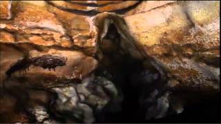 lascaux caves virtual tour [upl. by Nwahsar]