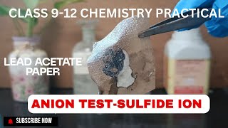 Anion Test  Detection of Sulphide ion S2 in a salt sample  Chemistry practical  STD 912 [upl. by Ahcim]