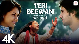 Teri Deewani  Kailash Kher 4K Video  Kailasa  Paresh  Naresh [upl. by Dadelos]