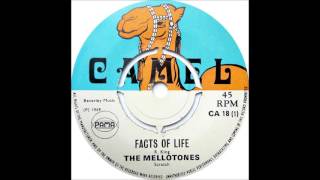 Mellotones  Facts Of Life [upl. by Haiasi]