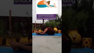 Paschimottanasanaunlock forwardbendingyogayogaposes shortvideo youtubeshorts exercise [upl. by Aivan]