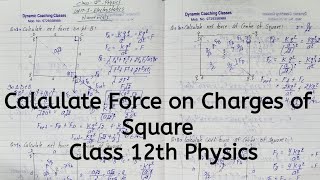 Numerical Force on charges of Square Chapter 1 Electric Charges and Fields Class 12 Physics [upl. by Nail690]