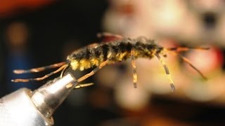 How to tie a Two Tone Golden Stonefly Nymph [upl. by Tootsie]