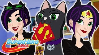 En İyi Catwoman Bölümleri  DC Super Hero Girls Türkiye [upl. by Maddis541]