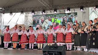 Hungarian Festival  Traditional folk dance  Busójárás  Mohács [upl. by Chae]