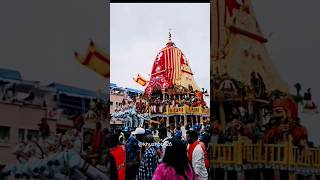 Jagannath yatra jagannath trending viralvideo [upl. by Audris]