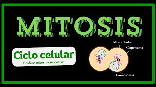 Mitosis y Ciclo Celular ¿Qué son [upl. by Thad]