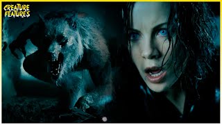 Selene Brings The Castle Down On William  Underworld Evolution  Creature Features [upl. by Kalvin985]