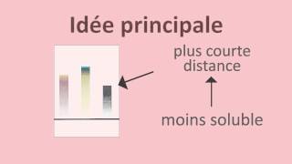 Chromatographie sur papier et sur couche mince  FuseSchool  Unisciel [upl. by Wsan]