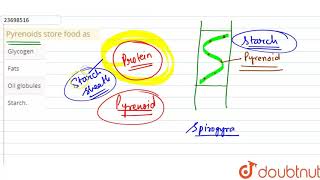 Pyrenoids store food as [upl. by Tneciv911]