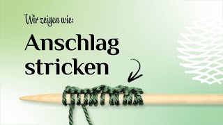 Wir zeigen wie Einfaches Tutorial  Maschenanschlag stricken  Stricken für Anfänger [upl. by Yauqram]