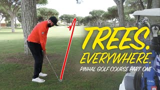 TREES TREES EVERYWHERE  Peter Finch vs Rick Shiels  Pinhal Golf Course Part 1 [upl. by Eesyak262]