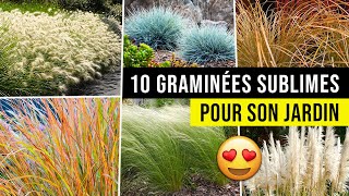 10 idées de GRAMINÉES Magnifiques pour Jardin  Facile et peu dentretien [upl. by Schonfield]