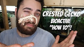 Crested Gecko Bioactive Terrarium  HOW TO MAKE [upl. by Teodoor]