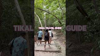 Tikal Travel Guide How to see the park without a tour guide [upl. by Branden536]