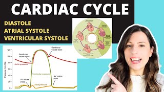 Alevel CARDIAC CYCLE Diastole atrial systole ventricular systoles the pressure volume changes [upl. by Bertold169]