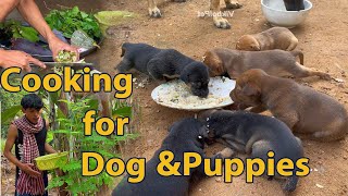 My Puppies Can Eat Now 🎉  Poor Family Dogs  vikbolpet007 [upl. by Hecker561]