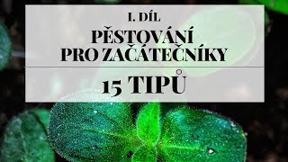 Pěstování pro začátečníky 1 díl  15 tipů než začnete [upl. by Meeka]