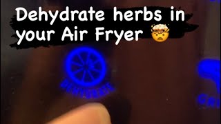 Dehydrating Herbs in an Air Fryer [upl. by Enutrof]