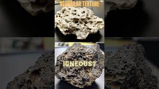 Vesicular Texture Igneous Rocks [upl. by Hnilym]