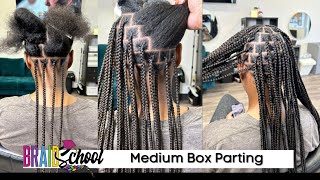 Industry Standard MEDIUM Box Parting Map  Step By Step Braid School Ep 109 [upl. by Fesuy]