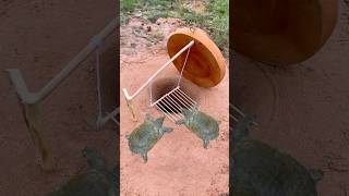 Survival SkillsSimple But Very Useful with turtle deep hole trap survival shorts outdoor [upl. by Adnirual]