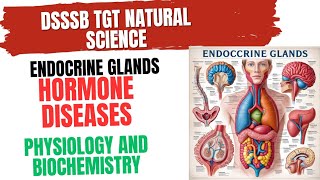 Hormone Diseases Physiology and Biochemistry for DSSSB TGT Natural Science endocrinesystem [upl. by Fugere]