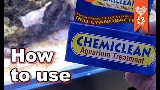 Chemiclean how to use to remove red cynobacteria  and some new store decor [upl. by Afnin496]