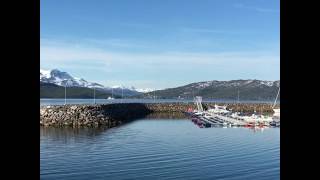 Olderhamna småbåthavn på Finnsnes i Lenvik kommune [upl. by Htebi]