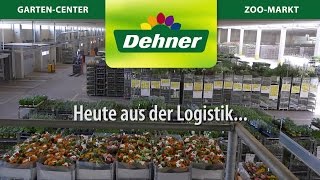 Dehner Backstage  Arbeitsalltag in der Logistik [upl. by Ehav]