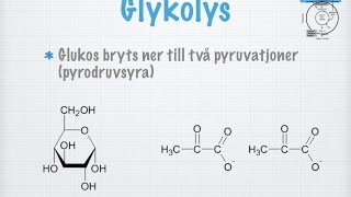 Glykolys gammal [upl. by Tarryn]