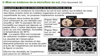 TCSFU1Ch2EP8  action de microfaune et microflore sur le sol minéralisation et humufication [upl. by Burny914]