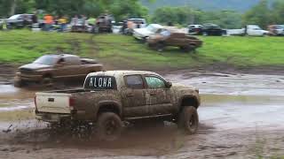 kahaluu mud pit yessahh [upl. by Immanuel]