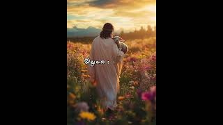 Unga kirubai illama Tamil Christian song lucassekar christiansong [upl. by Yluj]