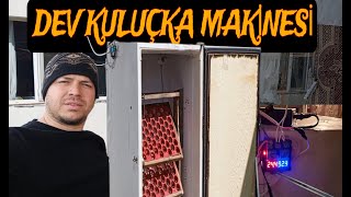 Kuluçka Makinesi Yapımı DEV GİBİ 162 yumurtalık kuluçka [upl. by Marcile484]