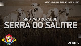 LEILÃO SERRA DO SALITRE AO VIVO  SERRA DO SALITRE MG [upl. by Namar]