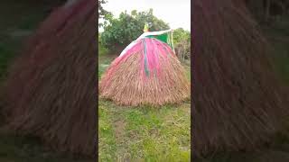 Zangbeto Miracles 1 scienceofconsciousness africanspirituality supernatural zangbeto africa [upl. by Medeah328]