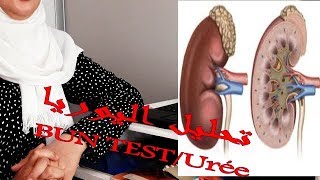 تحليل اليوريا BUN Test أو تحليلUrée علاقته بوظائف الكلى [upl. by Alleahcim]