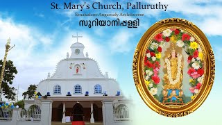 Sunday വിശുദ്ധ കുർബാന 101124  Holy Mass  StMarys Church Palluruthy [upl. by Chavey200]